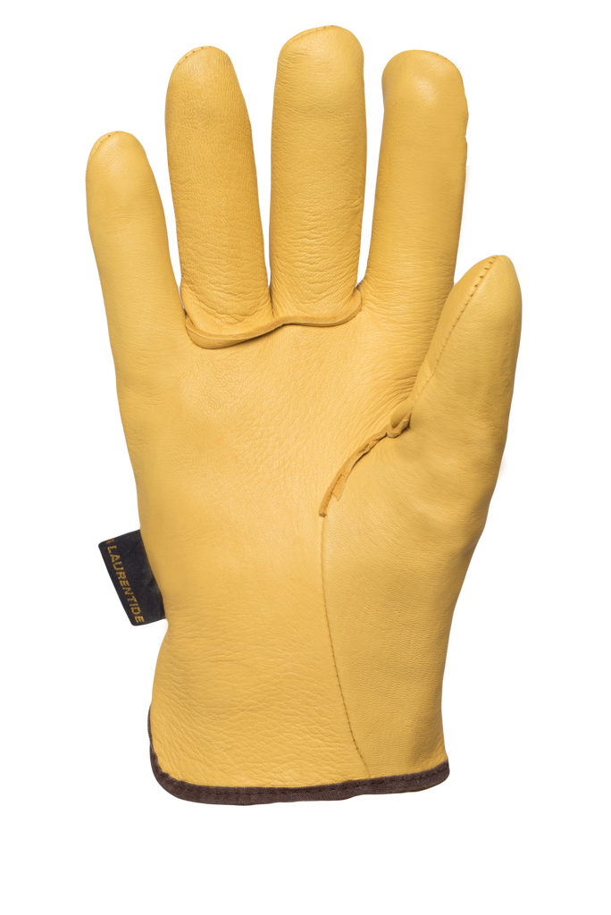 Deerskin Driver Gloves, Gold